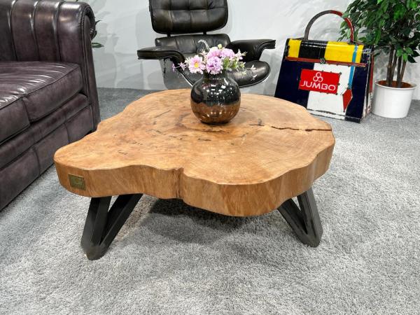 Couchtisch Baumstamm Bromo