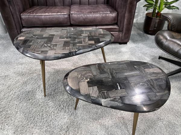 Couchtisch-Set  "Stone Age" aus versteinertem Holz