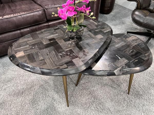 Couchtisch-Set  "Stone Age" aus versteinertem Holz