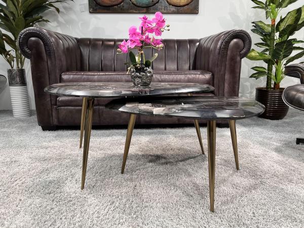 Couchtisch-Set  "Stone Age" aus versteinertem Holz