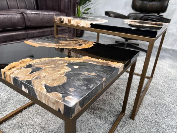 Couchtisch-Set aus versteinertem Holz "Stone Age"