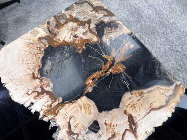 Couchtisch-Set aus versteinertem Holz "Stone Age"