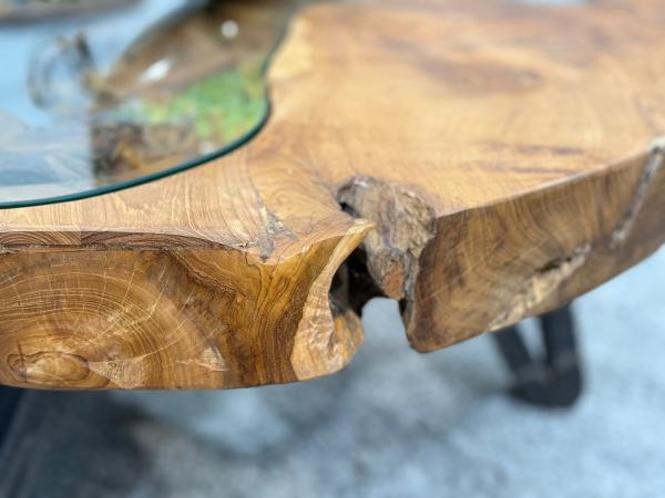 Einzigartiger Wohnzimmertisch Baumstamm Baumscheibe massiv Wohnzimmerideen