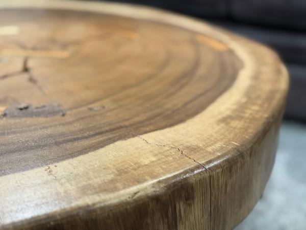 Baumscheiben Couchtisch Bromo