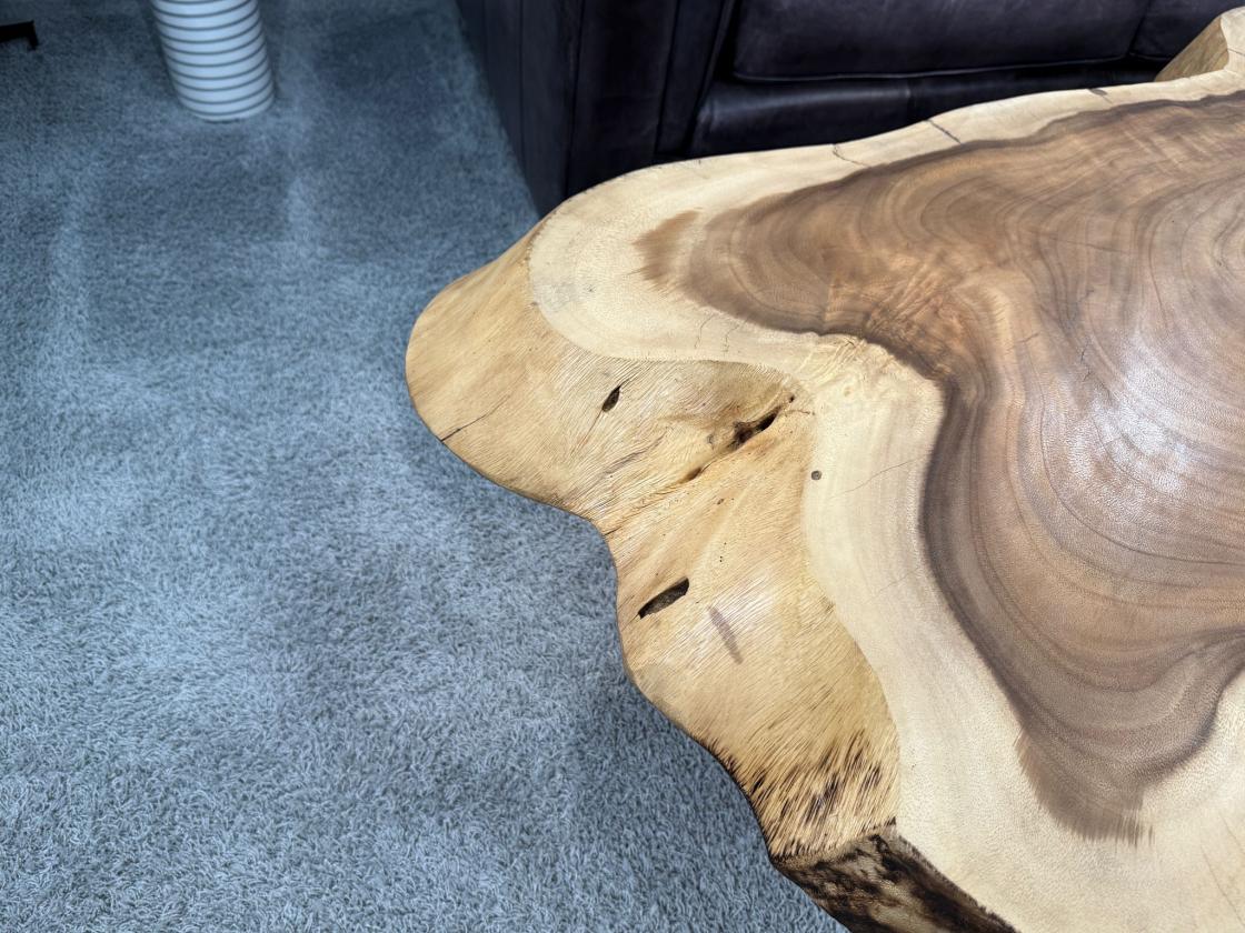 Designtisch Baumstamm Couchtisch