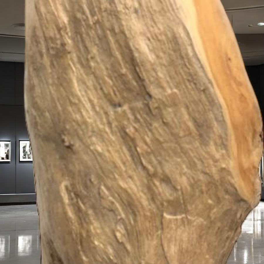 Holzskulptur Raumtrenner Teakholz