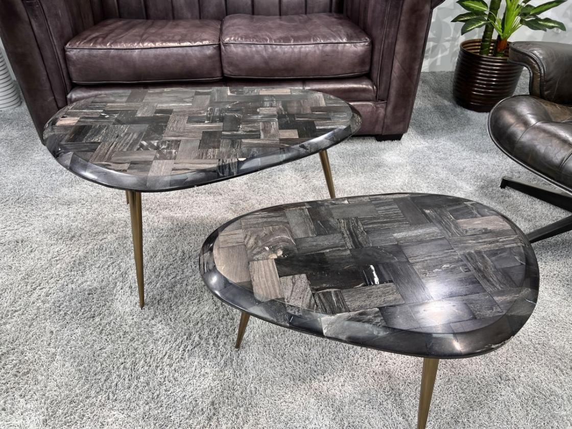 Couchtisch-Set  "Stone Age" aus versteinertem Holz