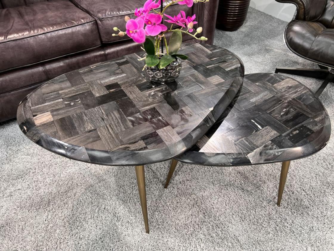 Couchtisch-Set  "Stone Age" aus versteinertem Holz