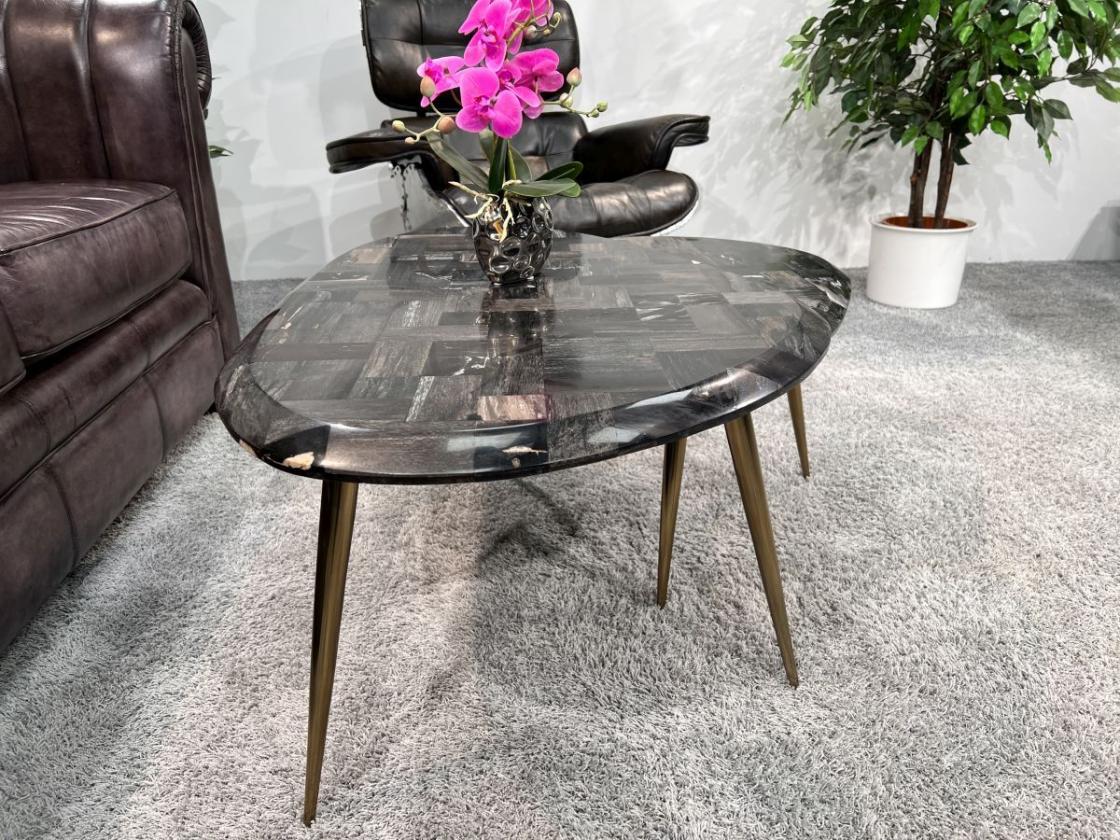 Couchtisch-Set  "Stone Age" aus versteinertem Holz