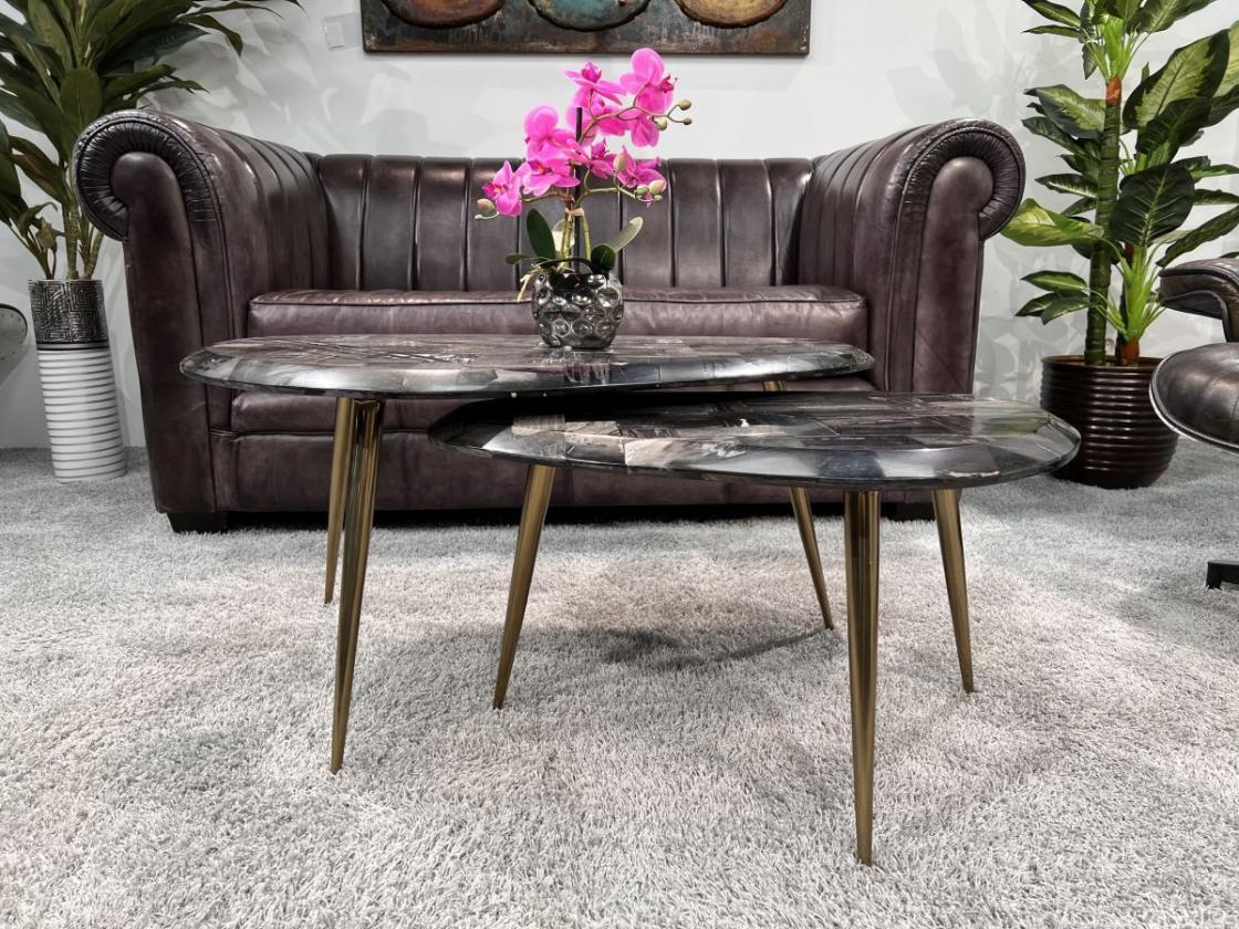 Couchtisch-Set  "Stone Age" aus versteinertem Holz