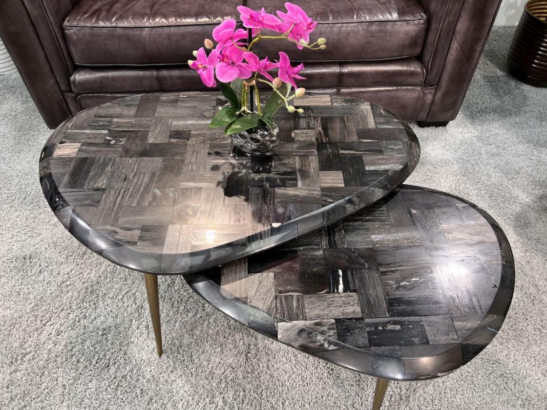 Couchtisch-Set  "Stone Age" aus versteinertem Holz