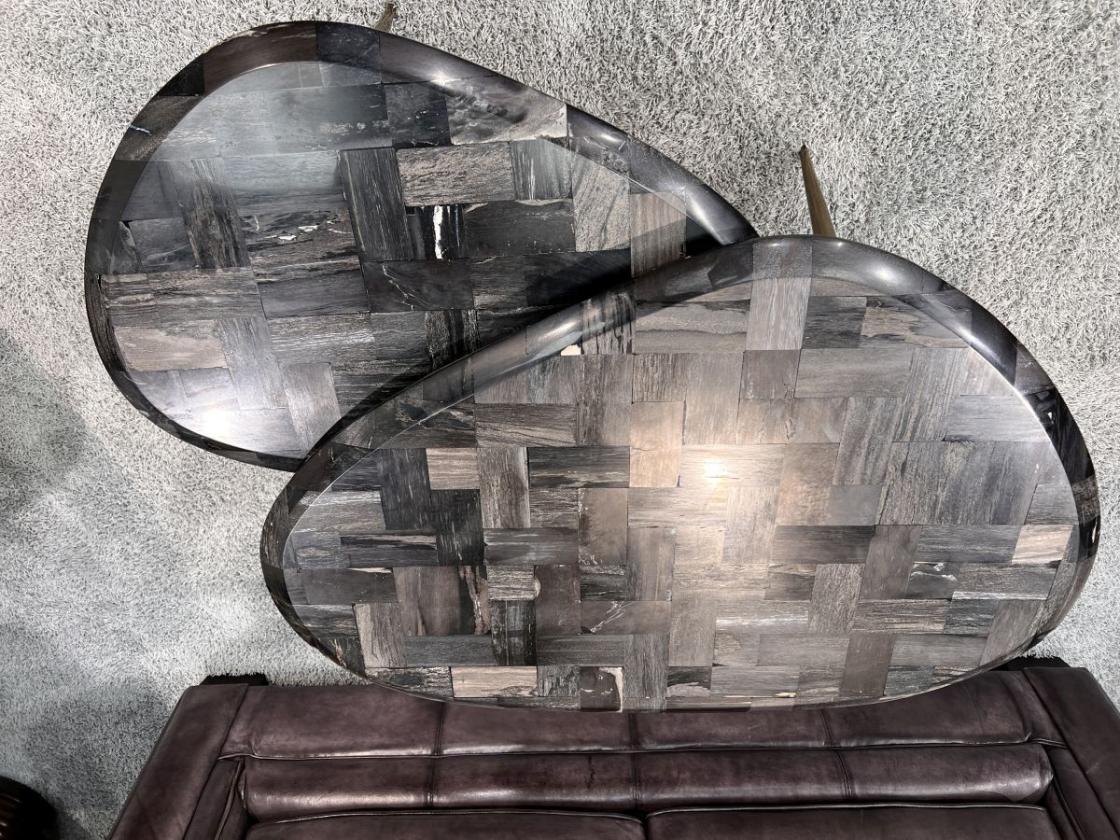 Couchtisch-Set  "Stone Age" aus versteinertem Holz