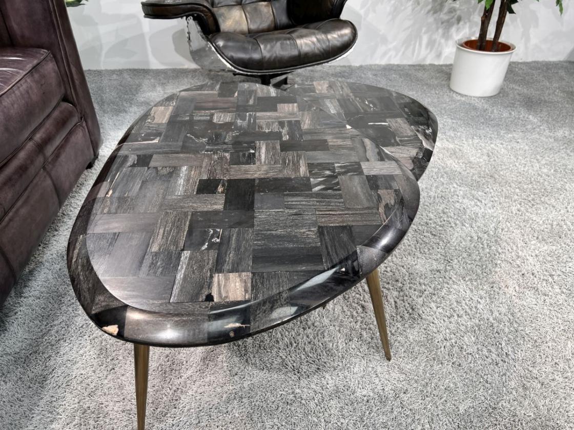 Couchtisch-Set  "Stone Age" aus versteinertem Holz