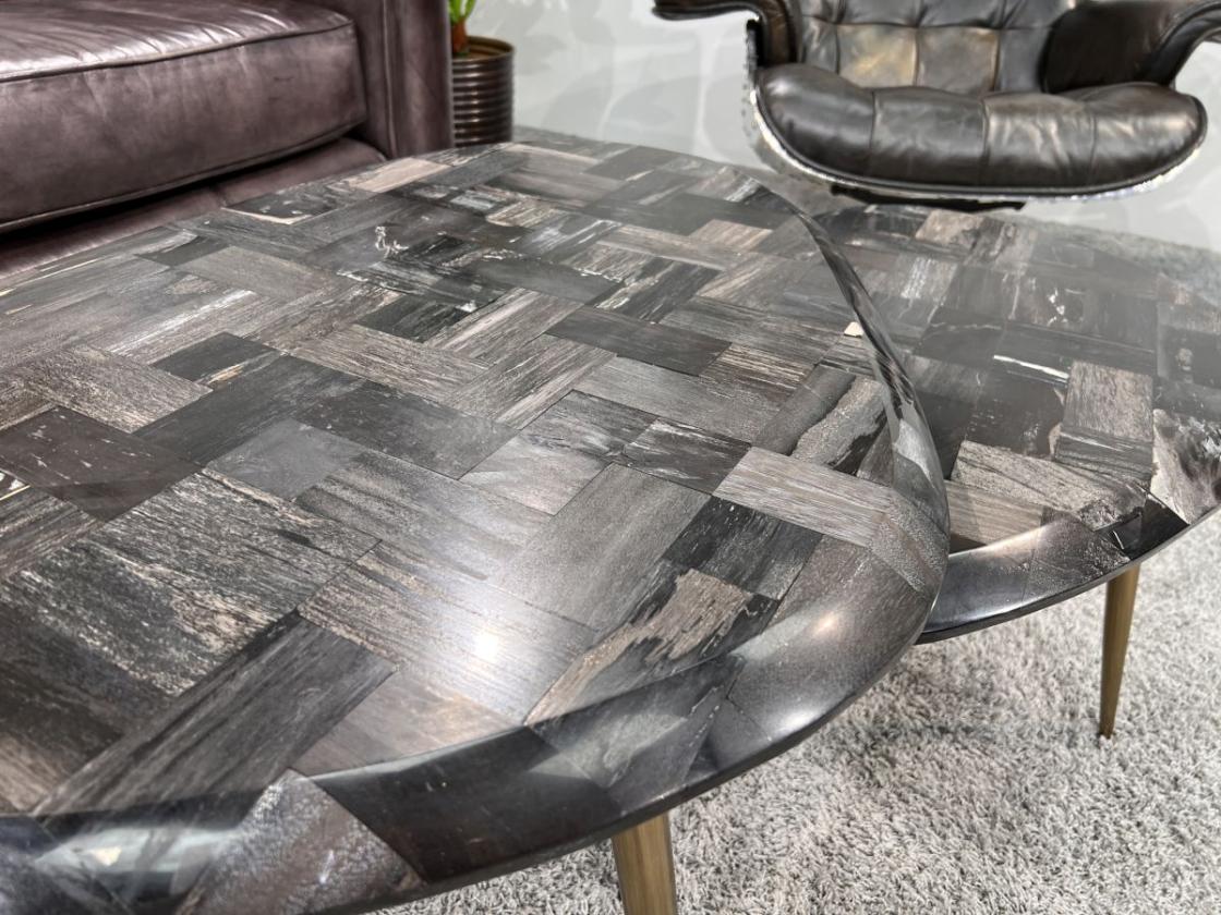 Couchtisch-Set  "Stone Age" aus versteinertem Holz