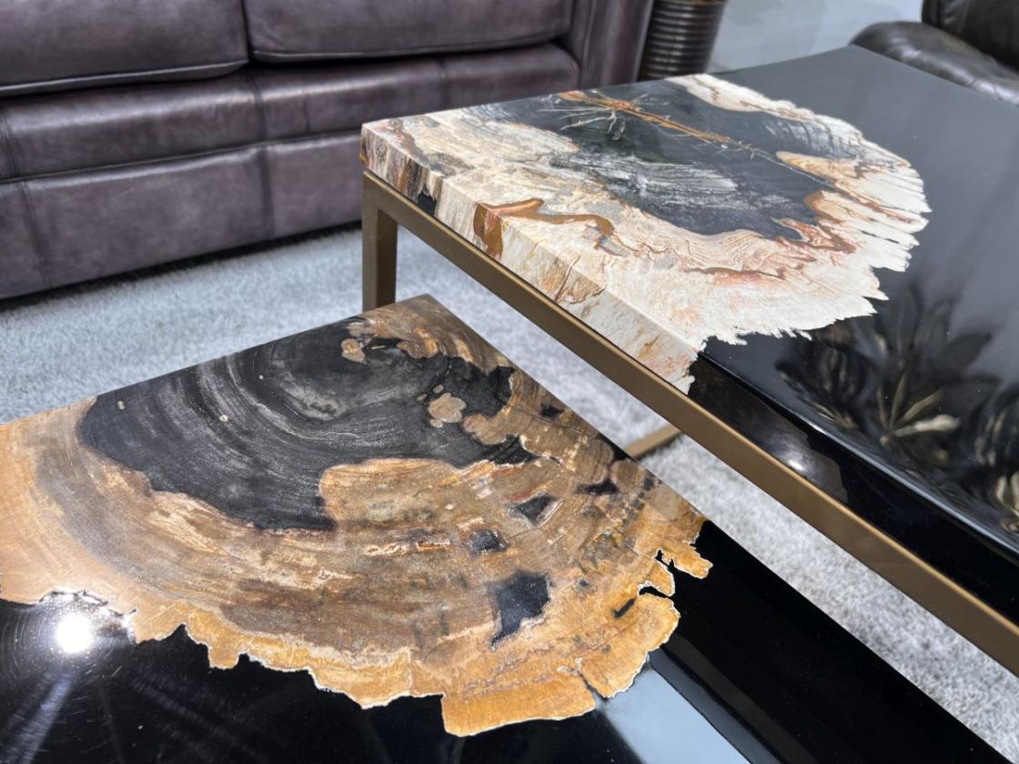 Couchtisch-Set aus versteinertem Holz "Stone Age"