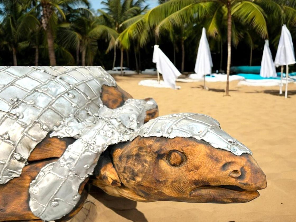 Außergewöhnliche Holzskulptur „Schildkröte“ aus Holz