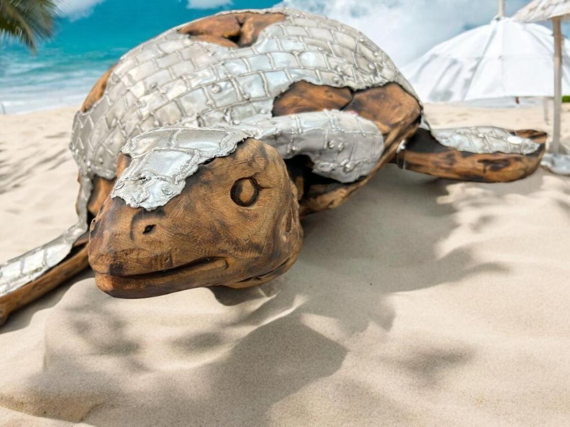Außergewöhnliche Holzskulptur „Schildkröte“ aus Holz