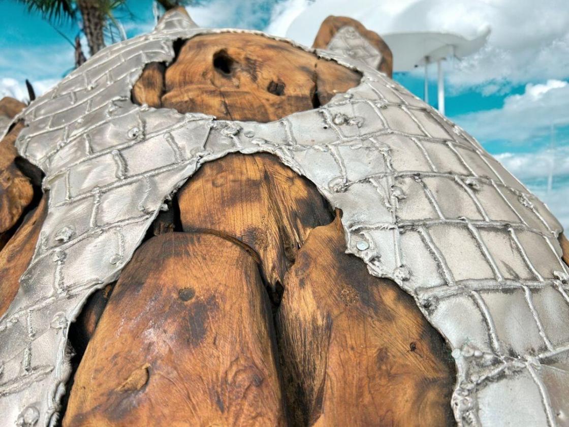 Außergewöhnliche Holzskulptur „Schildkröte“ aus Holz