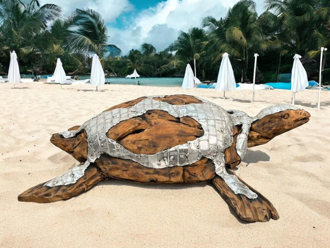Außergewöhnliche Holzskulptur „Schildkröte“ aus Holz