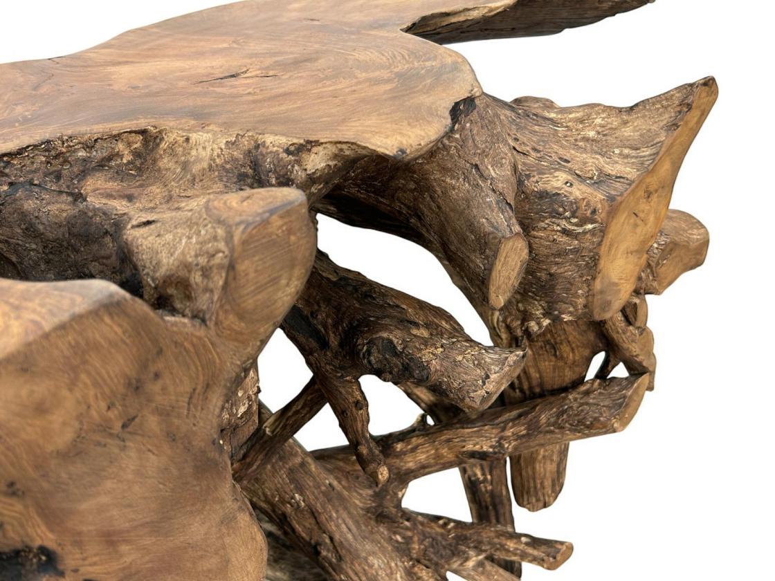 Konsole aus einer Baumwurzel Teak