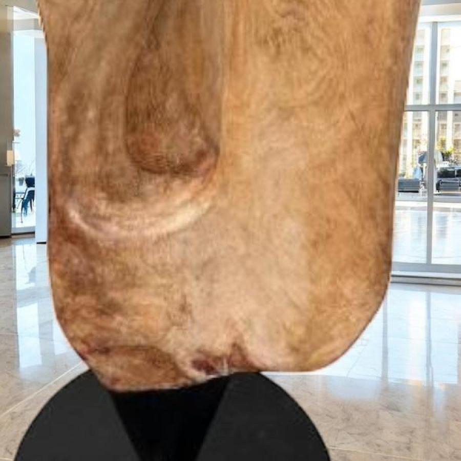 Geschnitzter Baumstamm 3D-Optik