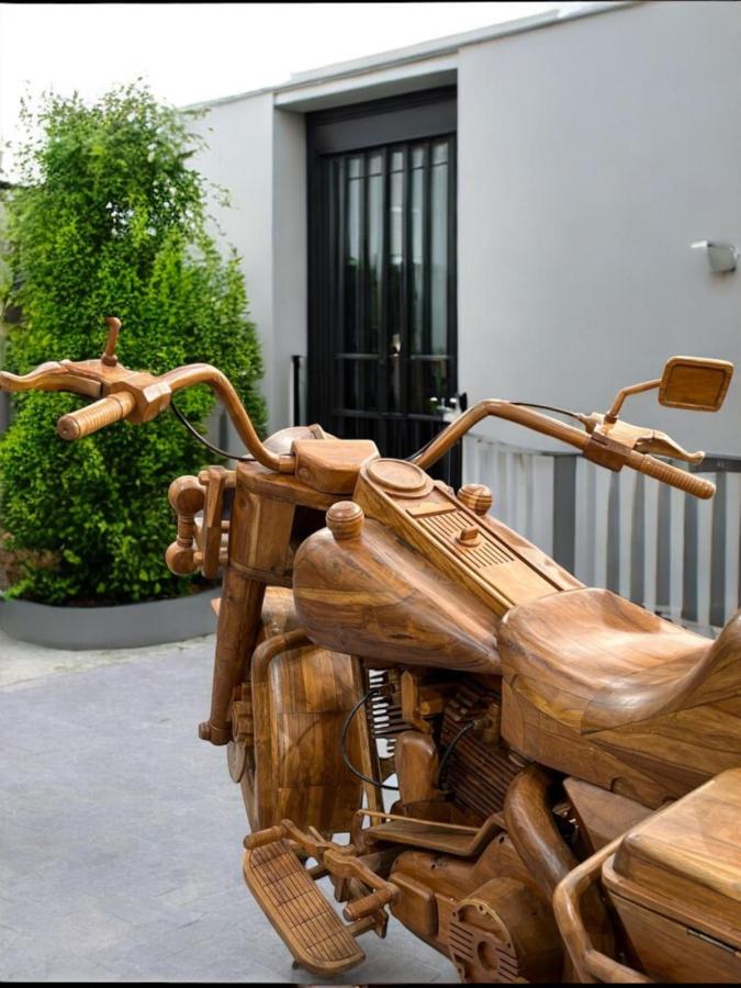 Außergewöhnliche Holzskulptur „Schildkröte“ aus Holz