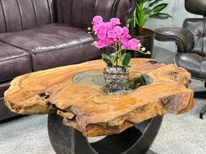 Besonder Couchtisch Expression aus holz Baumscheibe Baumstamm