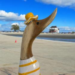 Holzente lustiges Geschenk Wattwanderer