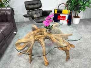 Couchtisch-Baumwurzel-mit-Glasplatte-Wohnzimmert