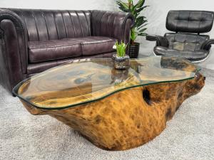 Wohnzimmertisch aus Suar-Baumstamm mit Glas, 155x85x41 cm.