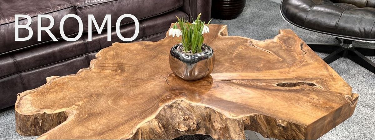 Couchtisch aus einem Baumstamm von GERKEN Wohndesign